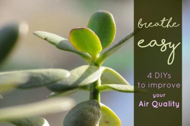 Breathe Easy: 4 DIY Tips to Improve Your Air Quality