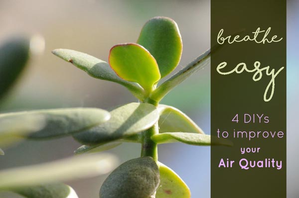 Breathe Easy: 4 DIY Tips to Improve Your Air Quality